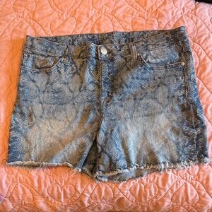 Seven7 Jeans Denim Snake Print Women Shorts